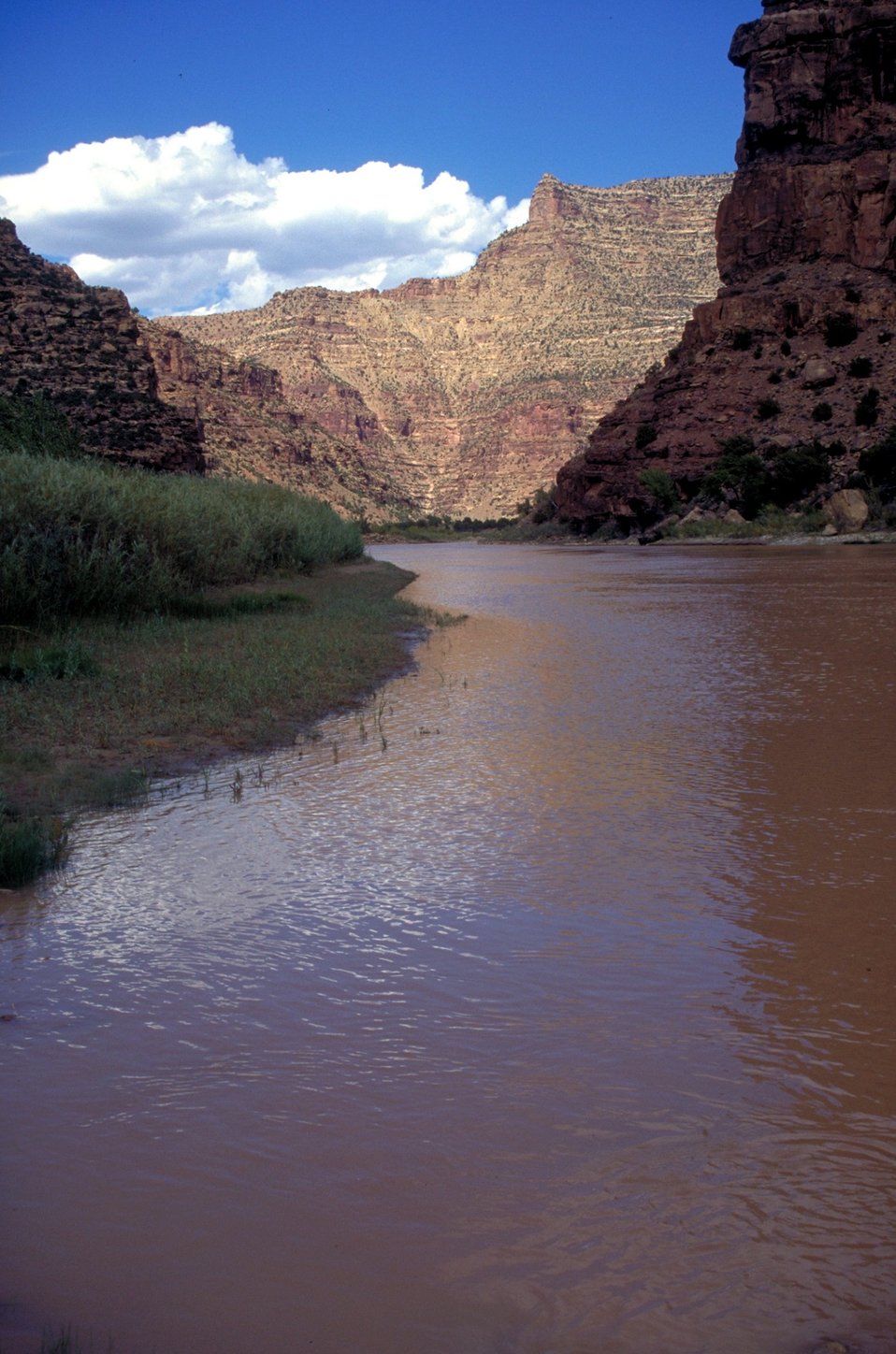 desolation and gray canyon photo